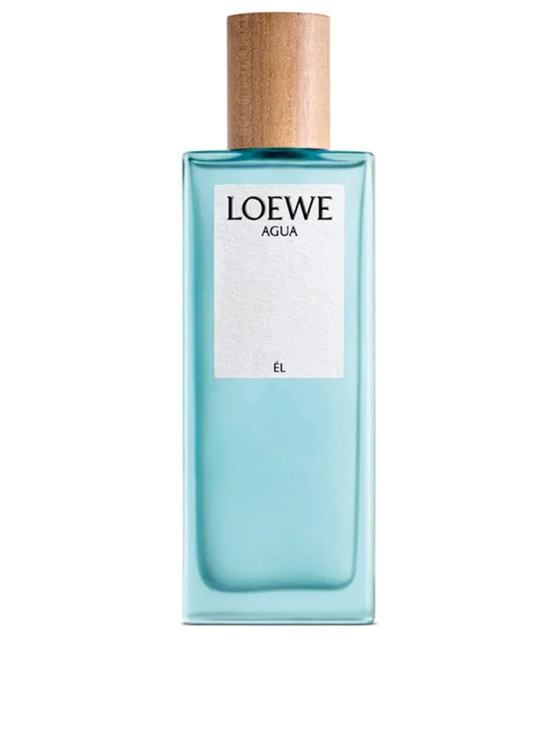 Loewe Agua El Eau de Toilette 100ml Unisexe