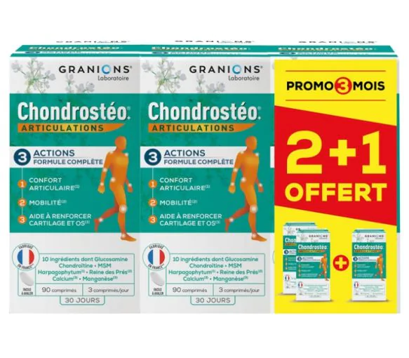 Chrondrosteo Programme de 3 mois Granions - boite de 270 comprimés