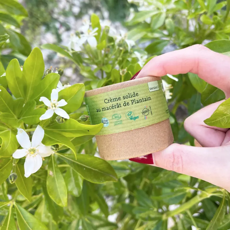 Crème Solide Bio au Macérât de Plantain (Anti démangeaison) Comme Avant
