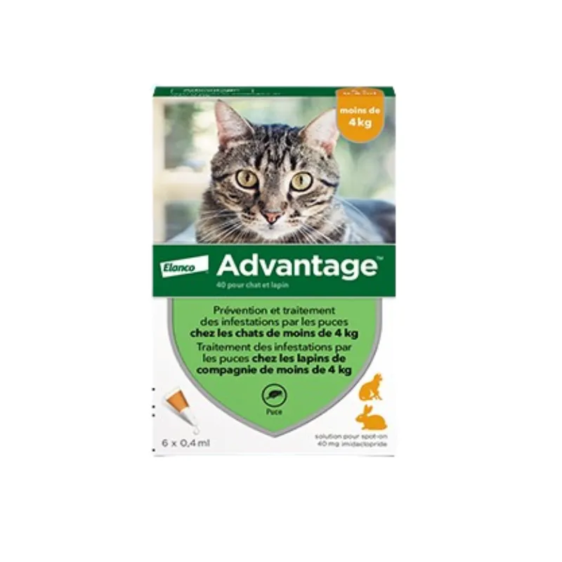 Advantage 40 Chat et Lapin 6 Pipettes