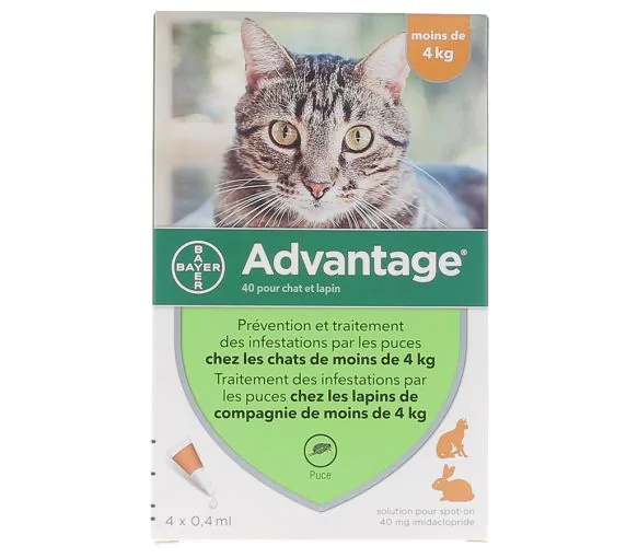 Advantage 40 pour chat et lapin moins de 4 kg Bayer - boite de 4 pipettes