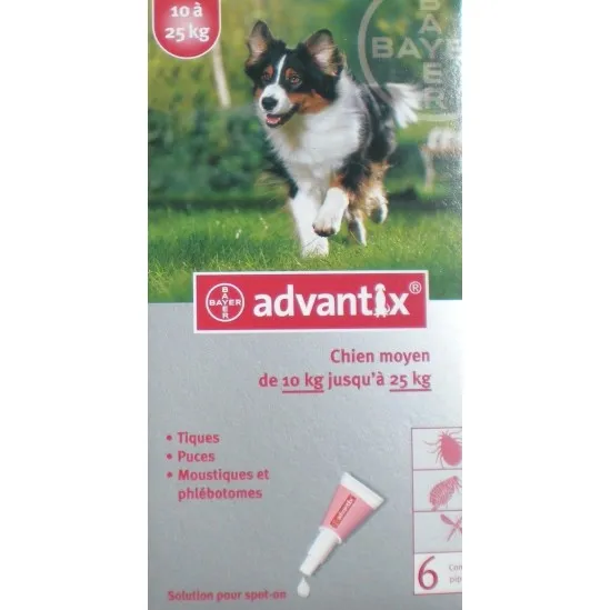 Advantix Chien Moyen 10 à 25kg 6 pipettes