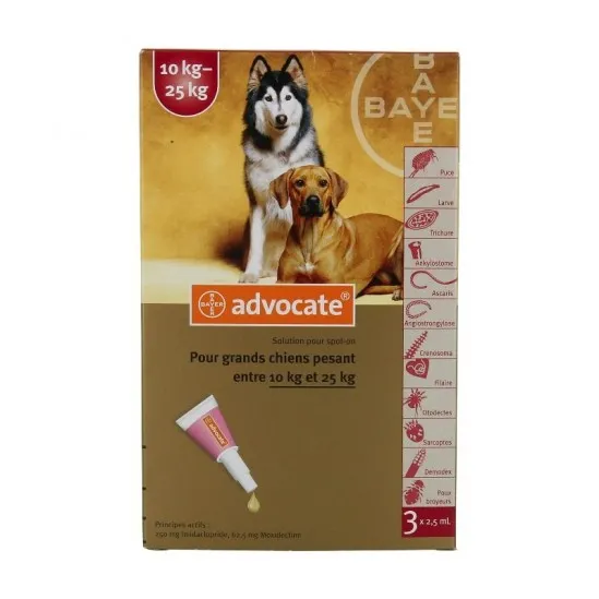 Advocate Grands Chiens 10 à 25 kg 3 pipettes