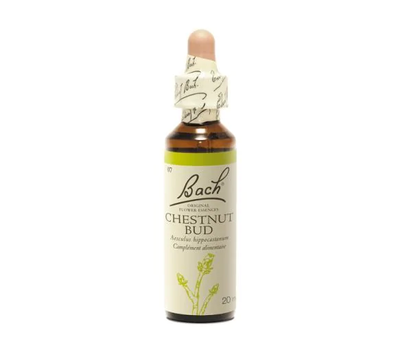 Fleur de Bach Chestnut Bud Aesculus hippocastanum - flacon de 20 ml