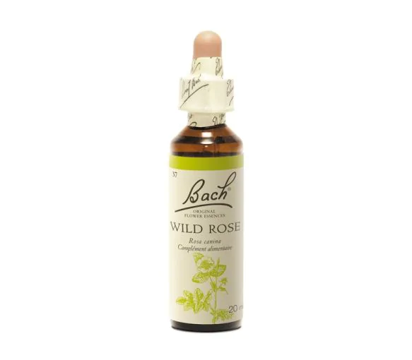 Fleur de Bach Wild Rose Rosa canina - flacon de 20 ml