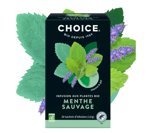 Infusion aux plantes bio menthe sauvage Panda Tea - boite de 17 sachets