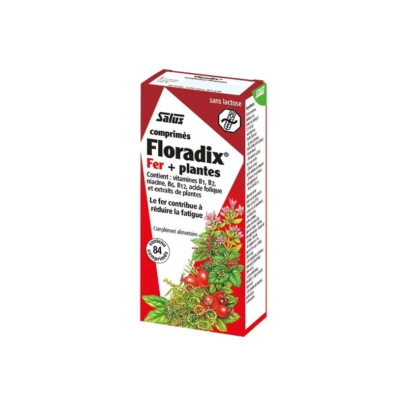 Salus Floradix fer + plantes 84 comprimés