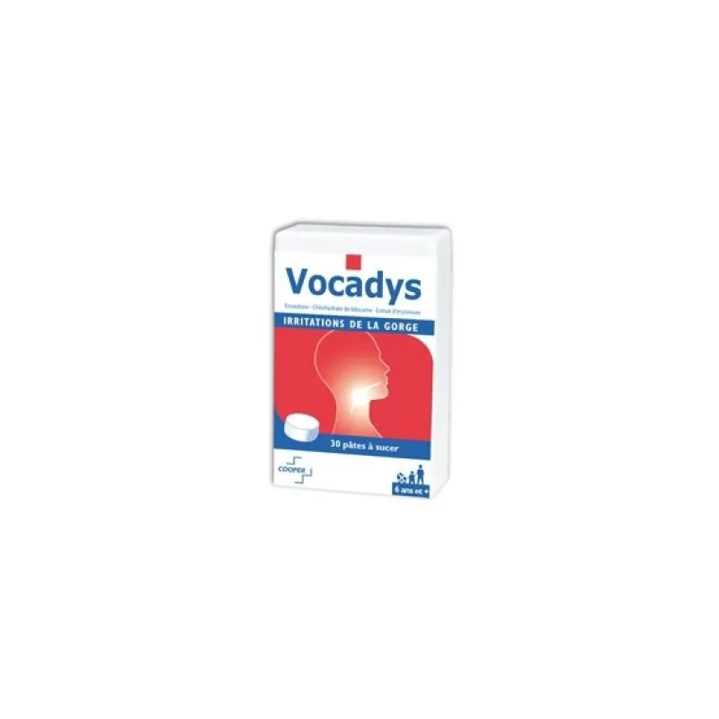 Vocadys irritations buccales boîte de 30 pâtes buccales | Nom de...
