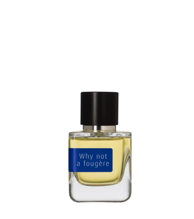 WHY NOT A FOUGÈRE ?